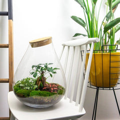 Collection image for: Egg & dome collection