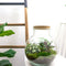 JAR series
