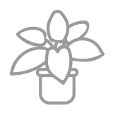 Plants & Garden