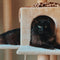 Scratching Post