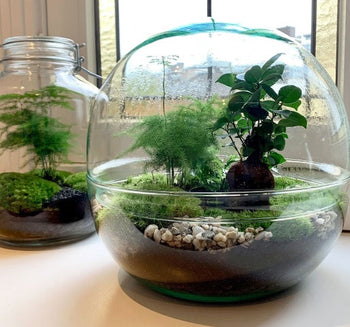 Terrarium with lights