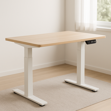 Rise Sit-Stand Desk