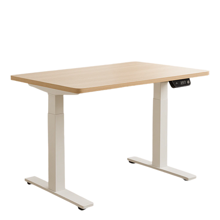 Rise Sit-Stand Desk