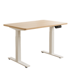 Rise Sit-Stand Desk
