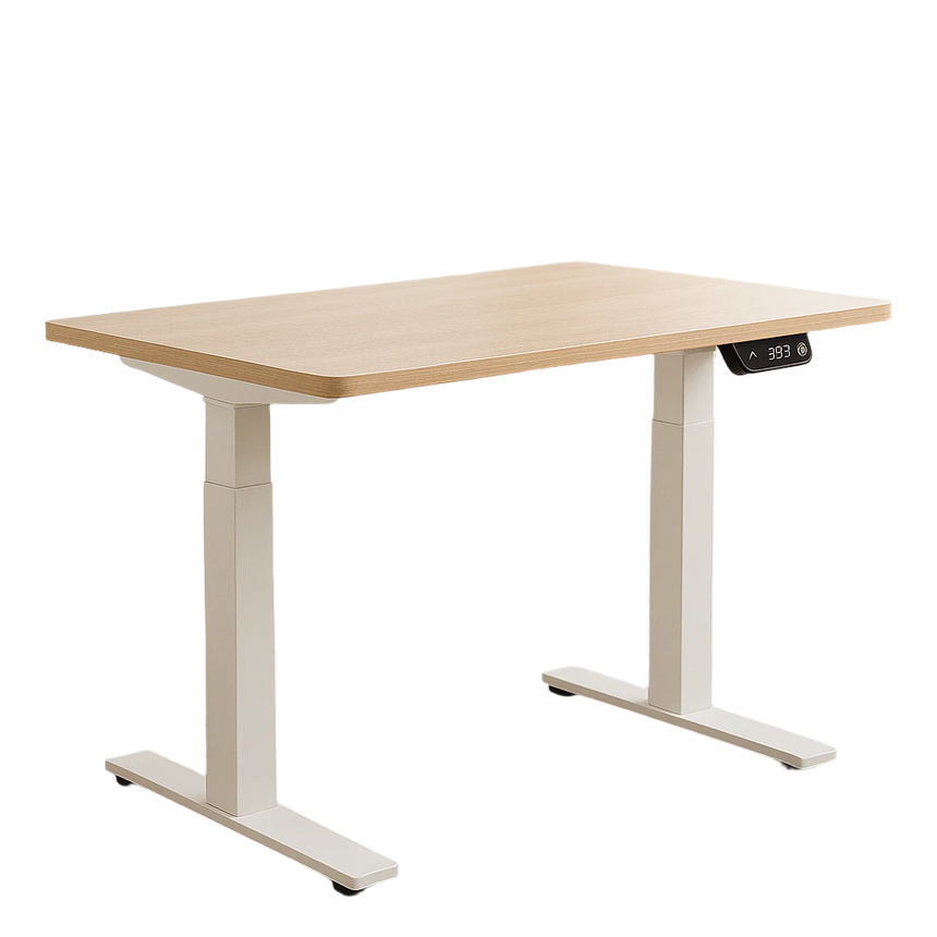 Rise Sit-Stand Desk