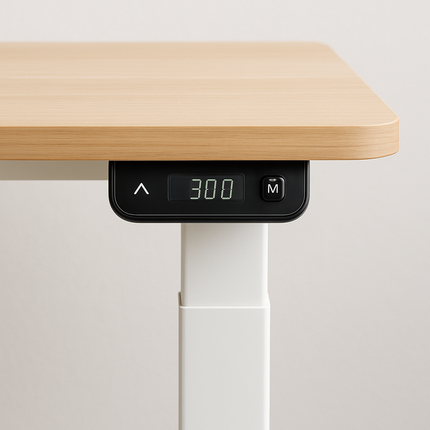 Rise Sit-Stand Desk