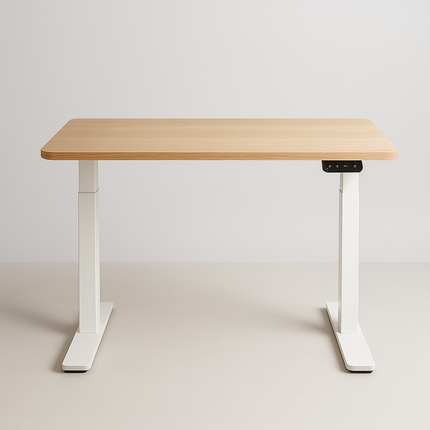 Rise Sit-Stand Desk