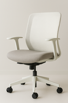 Echo Ergonomic Office Chair
