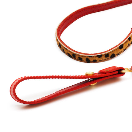 Cat leash panter print