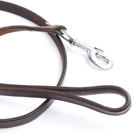 Brown leather dog leash