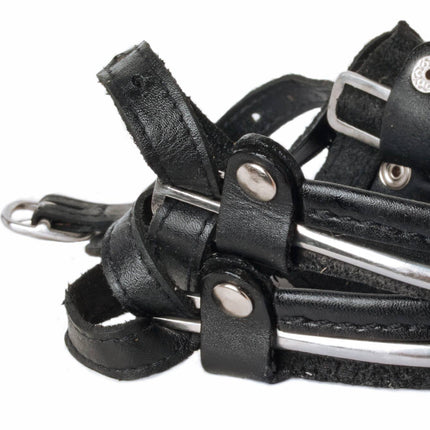Horse riding shoe spores