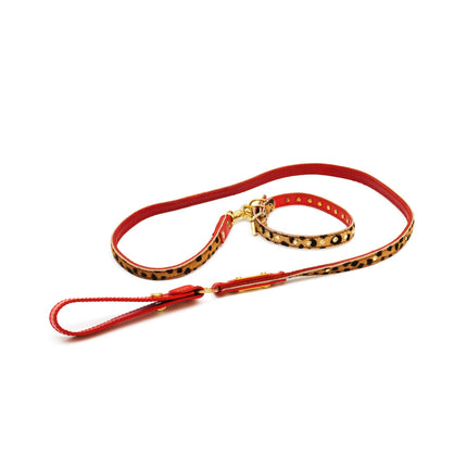 Cat leash panter print
