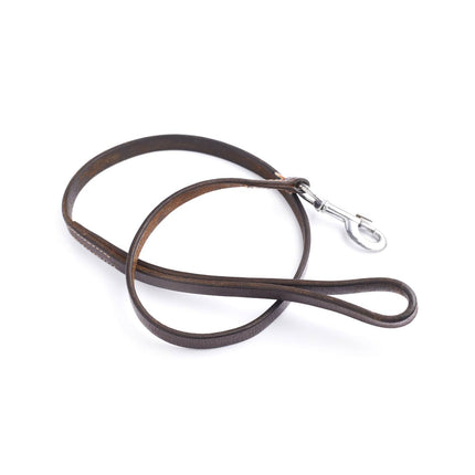 Brown leather dog leash