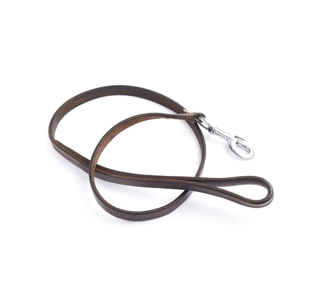 Brown leather dog leash