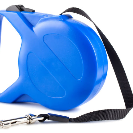 Blue dog leash