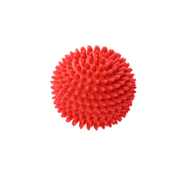 Plastic dog ball