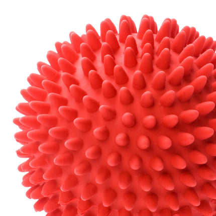 Plastic dog ball