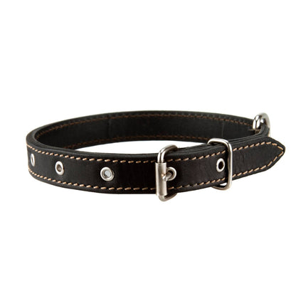 Leather dog collar black