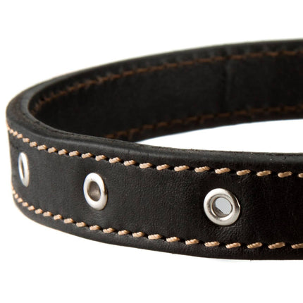 Leather dog collar black