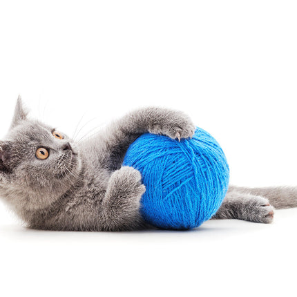 Pink Kitten Ball-ball