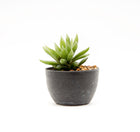 Pot with artificial plant