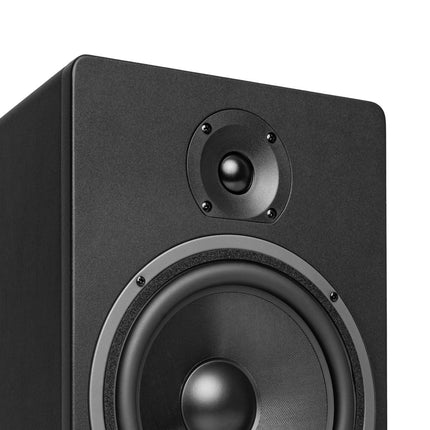 Classic Black HiFi speaker