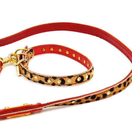 Cat leash panter print