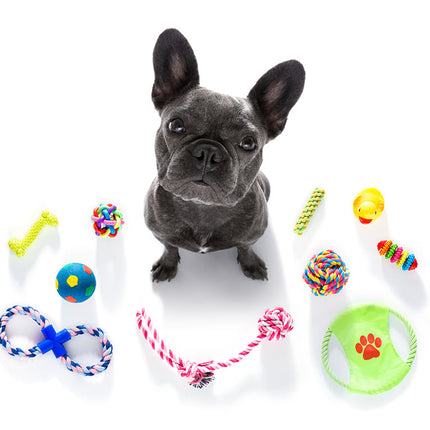 Bunch of Dog toys